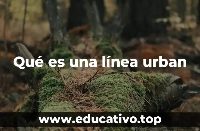 Qué es una línea urban