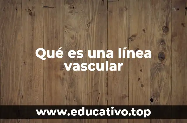 Qué es una línea vascular
