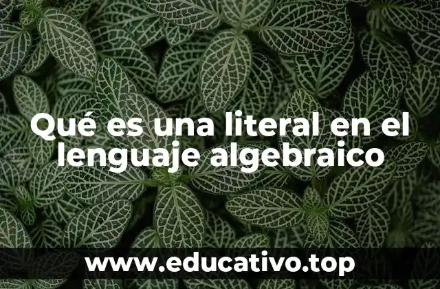 Qué es una literal en el lenguaje algebraico