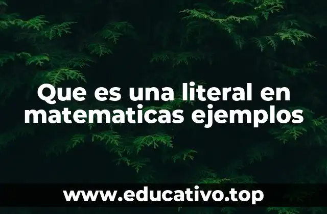 Que es una literal en matematicas ejemplos