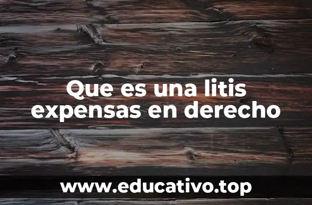 Que es una litis expensas en derecho