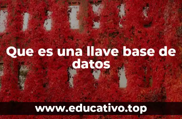 Que es una llave base de datos
