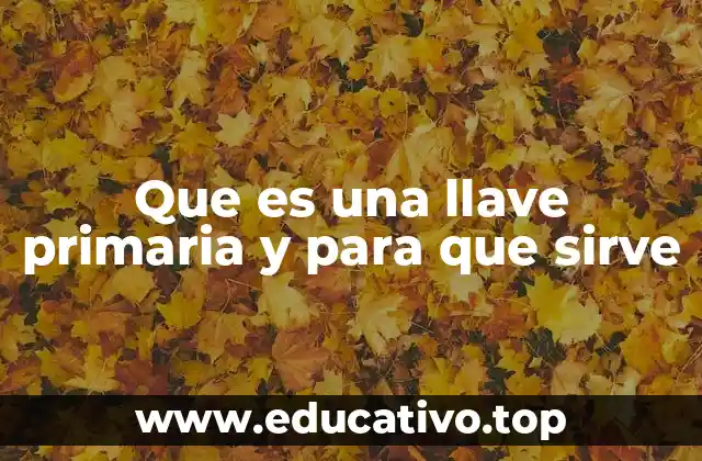 Que es una llave primaria y para que sirve