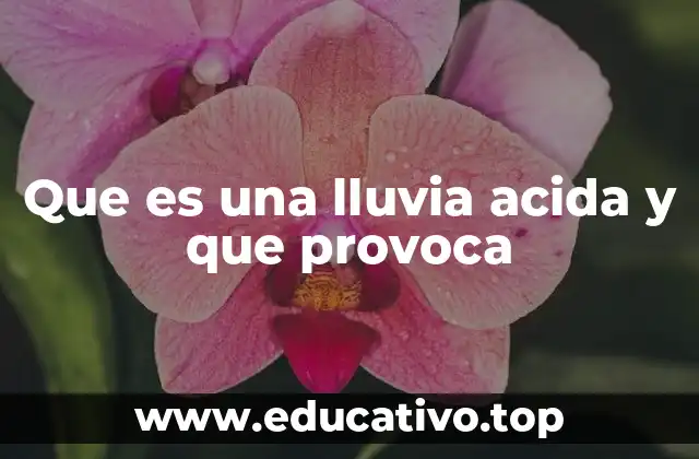 Que es una lluvia acida y que provoca
