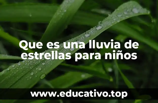 Que es una lluvia de estrellas para niños