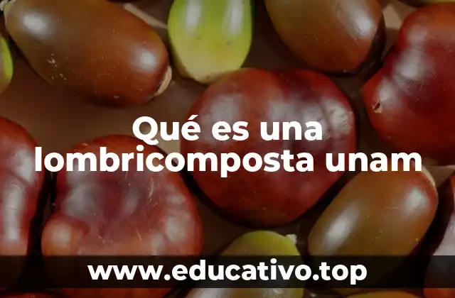 Qué es una lombricomposta unam