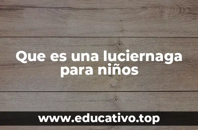 Que es una luciernaga para niños
