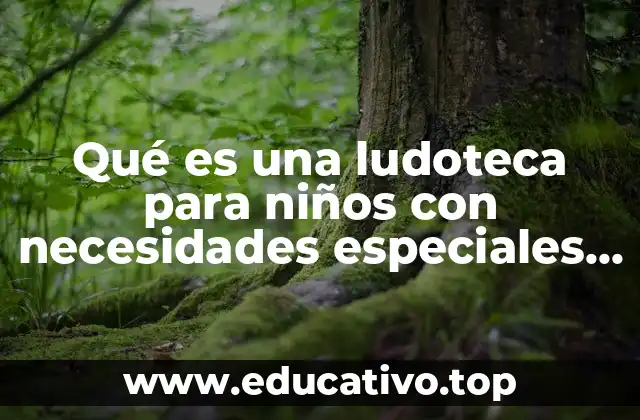 Qué es una ludoteca para niños con necesidades especiales según autores