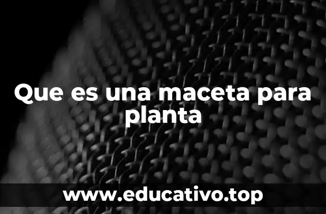 Que es una maceta para planta