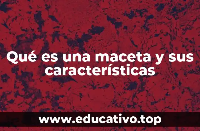 Qué es una maceta y sus características