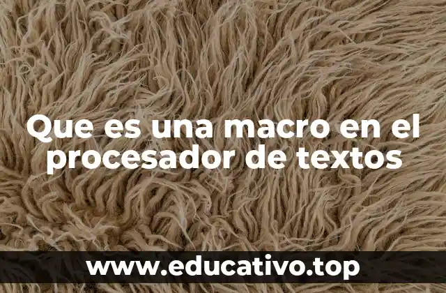 Que es una macro en el procesador de textos