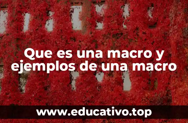 Que es una macro y ejemplos de una macro
