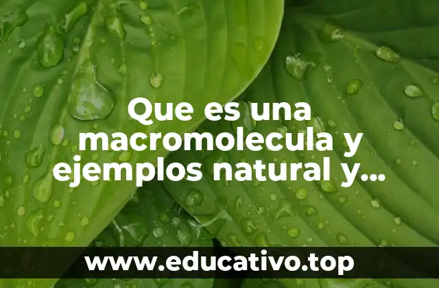 Que es una macromolecula y ejemplos natural y sintética