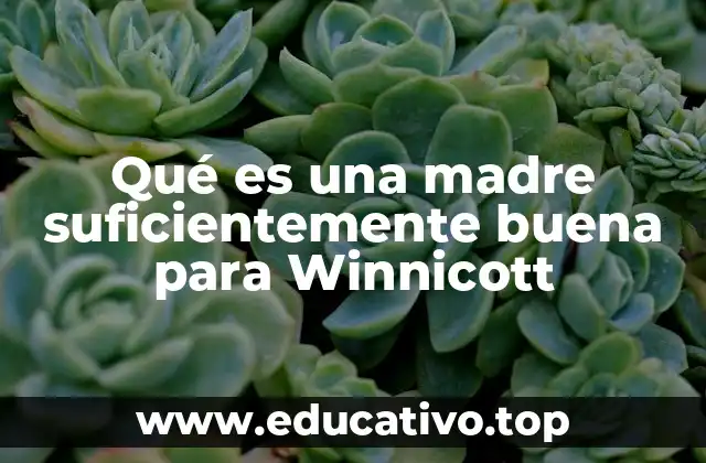 Qué es una madre suficientemente buena para Winnicott