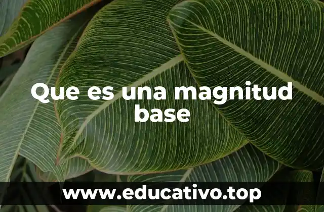 Que es una magnitud base