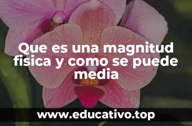 Que es una magnitud fisica y como se puede media