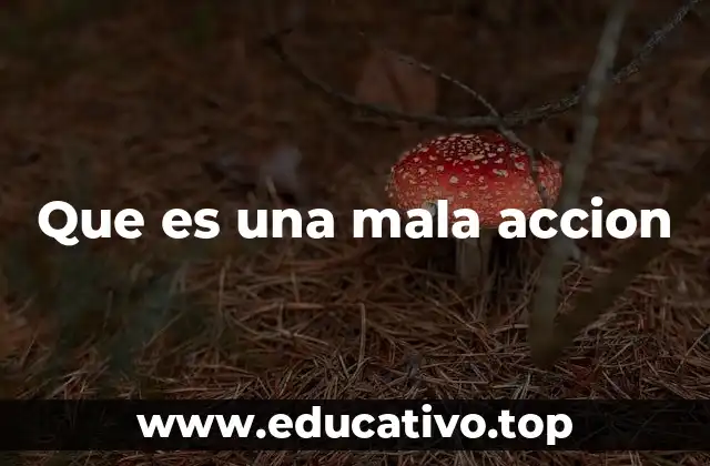 Que es una mala accion