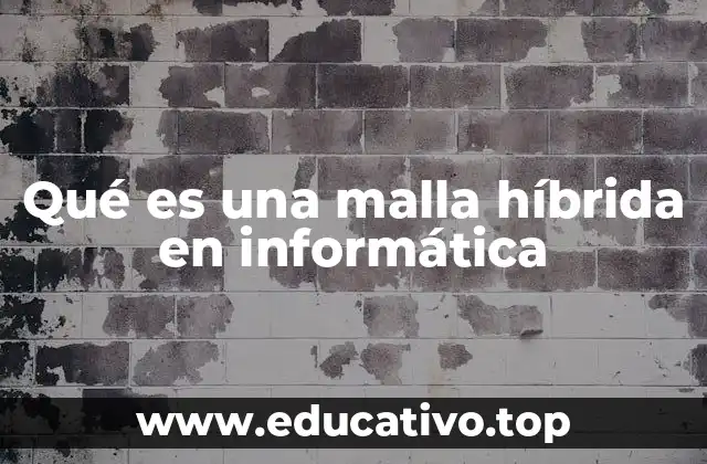 Qué es una malla híbrida en informática