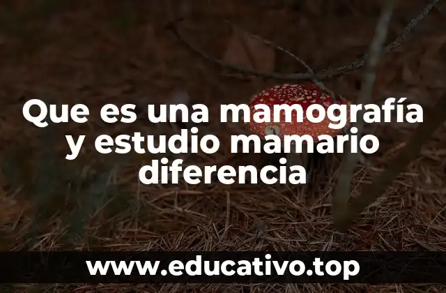Que es una mamografía y estudio mamario diferencia