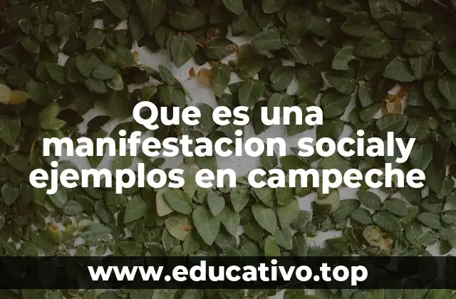 Que es una manifestacion socialy ejemplos en campeche
