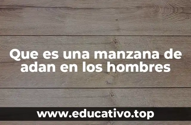 Que es una manzana de adan en los hombres