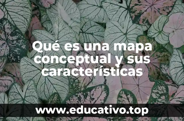 Qué es una mapa conceptual y sus características