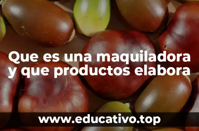 Que es una maquiladora y que productos elabora