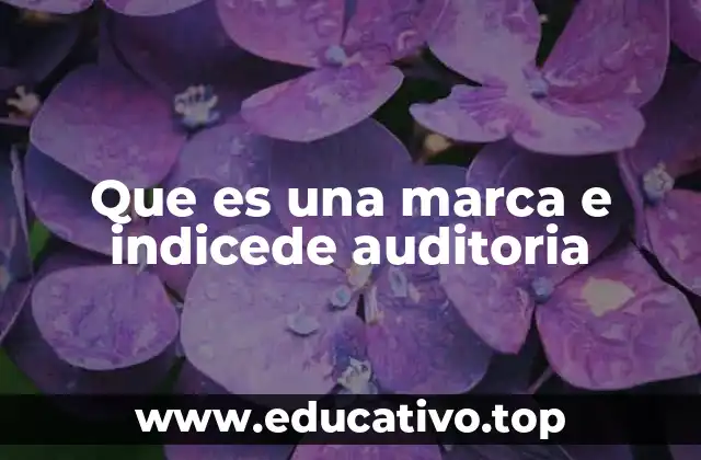 Que es una marca e indicede auditoria