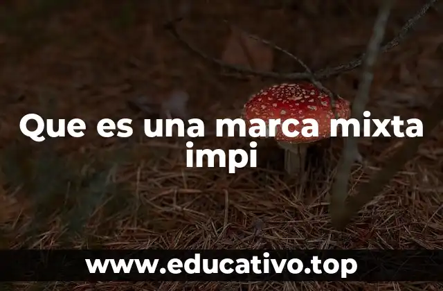 Que es una marca mixta impi
