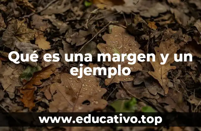 Qué es una margen y un ejemplo