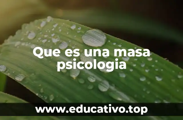 Que es una masa psicologia