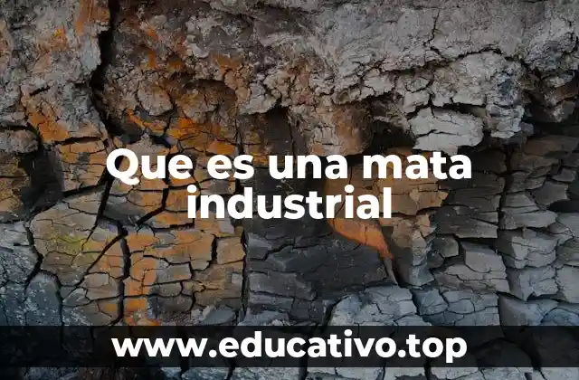Que es una mata industrial