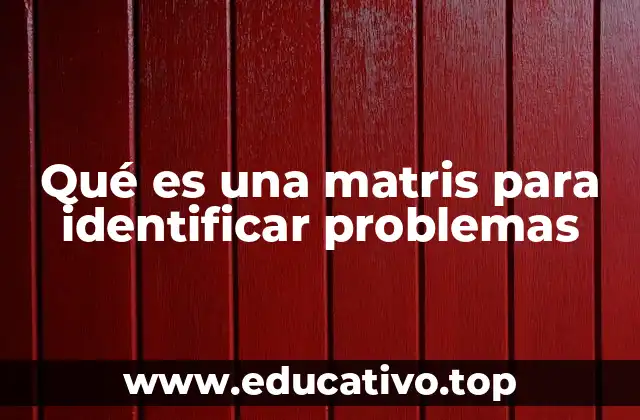 Qué es una matris para identificar problemas