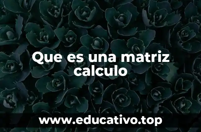 Que es una matriz calculo