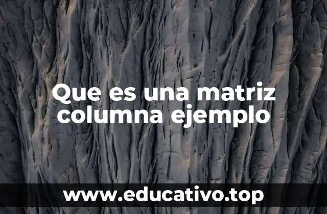 Que es una matriz columna ejemplo