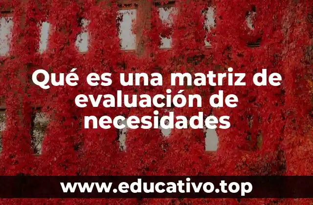 Qué es una matriz de evaluación de necesidades