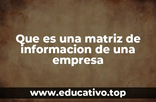 Que es una matriz de informacion de una empresa