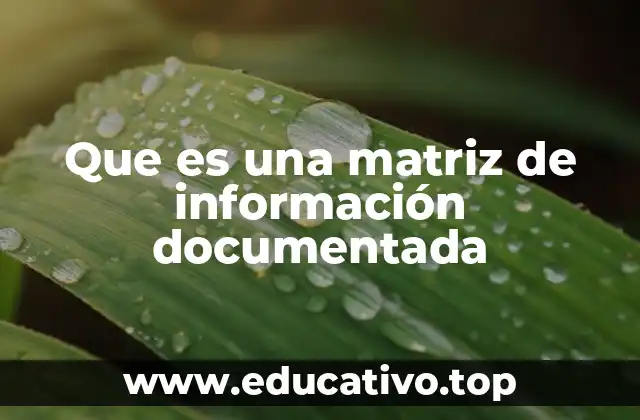 Que es una matriz de información documentada
