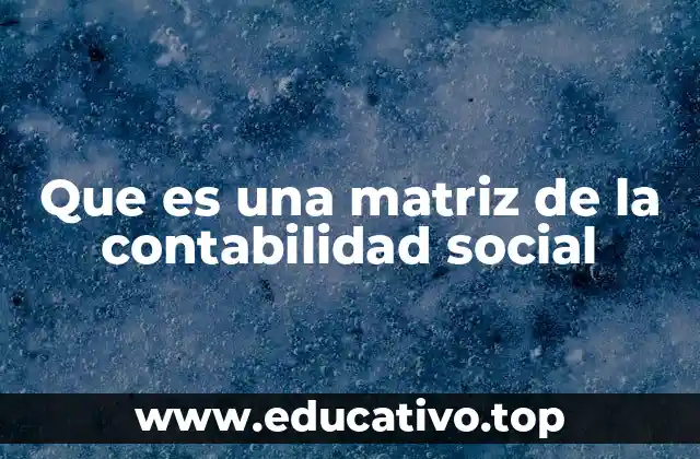 Que es una matriz de la contabilidad social