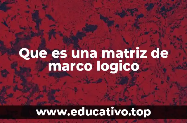 Que es una matriz de marco logico