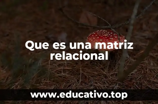 Que es una matriz relacional