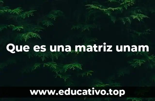 Que es una matriz unam