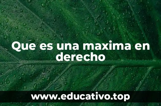 Que es una maxima en derecho