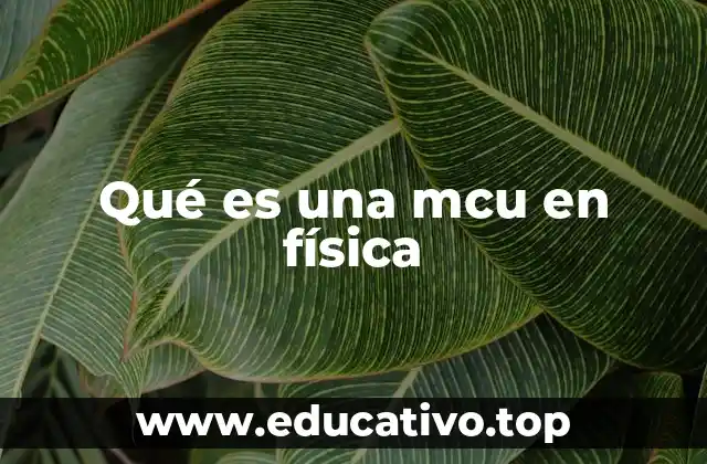 Qué es una mcu en física