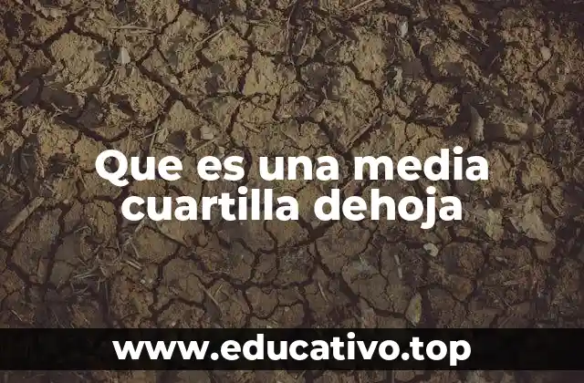 Que es una media cuartilla dehoja