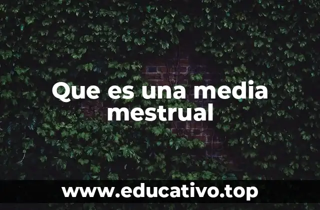 Que es una media mestrual