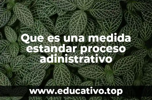 Que es una medida estandar proceso adinistrativo