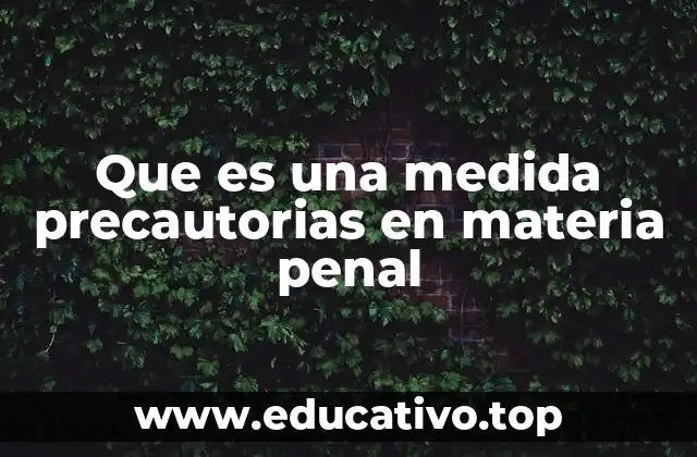 Que es una medida precautorias en materia penal