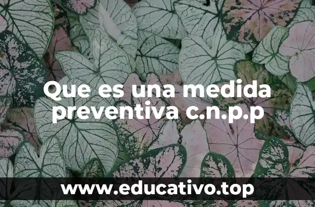 Que es una medida preventiva c.n.p.p