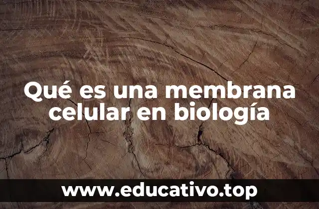 Qué es una membrana celular en biología
